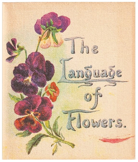 The Language of Flowers